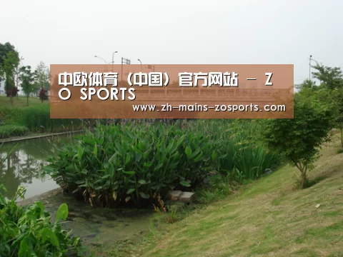 案例展示四(图1)