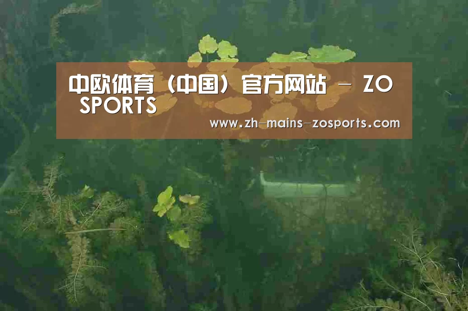 案例展示三(图1)