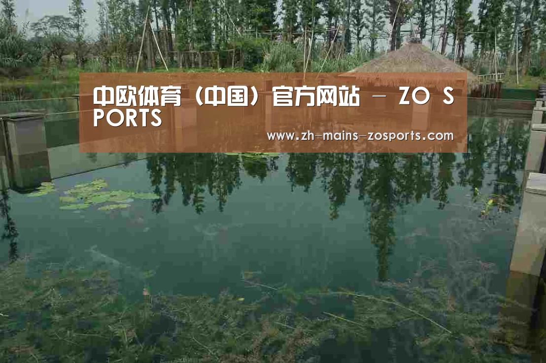 案例展示二(图1)