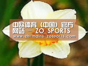 产品名称四