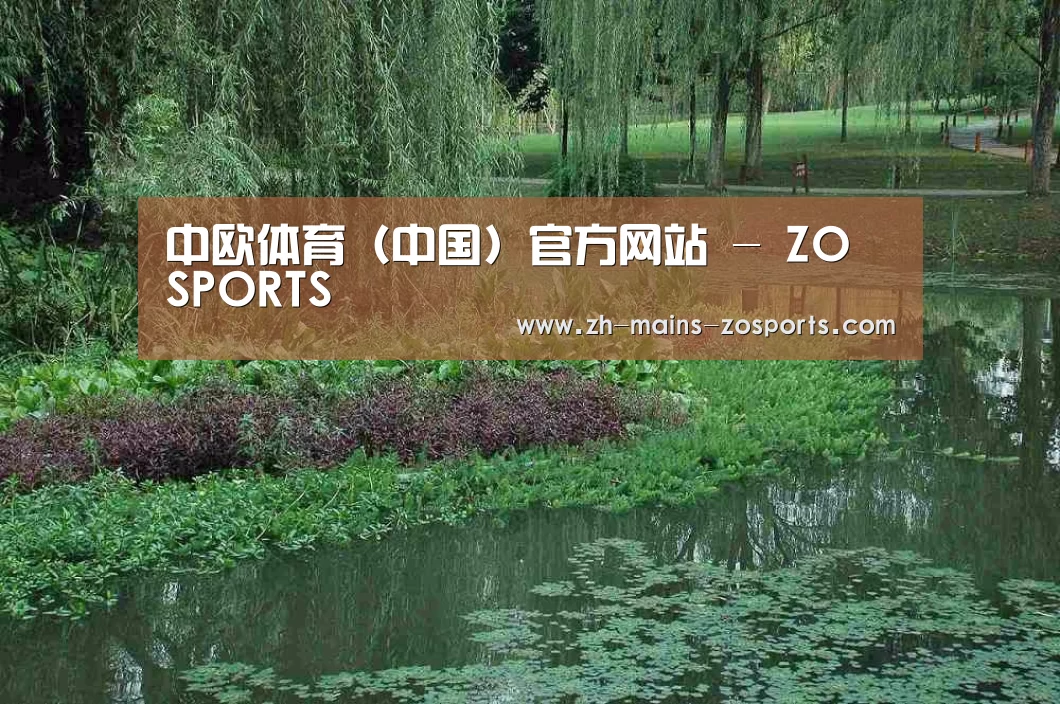 案例展示一