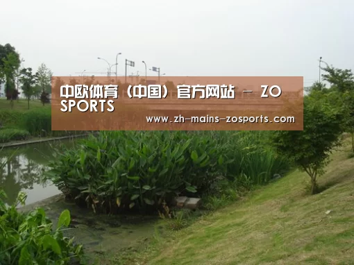 案例展示四