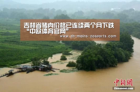吉林省猪肉价格已连续两个月下跌“中欧体育官网”(图2) 中欧体育官网