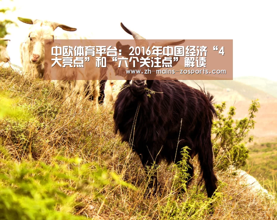 中欧体育平台:2016年中国经济“4大亮点”和“六个关注点”解读(图3) 中欧体育平台