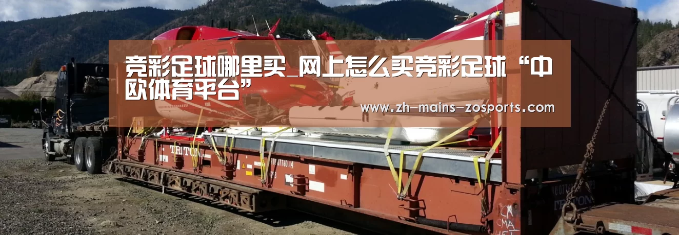 竞彩足球哪里买_网上怎么买竞彩足球“中欧体育平台”