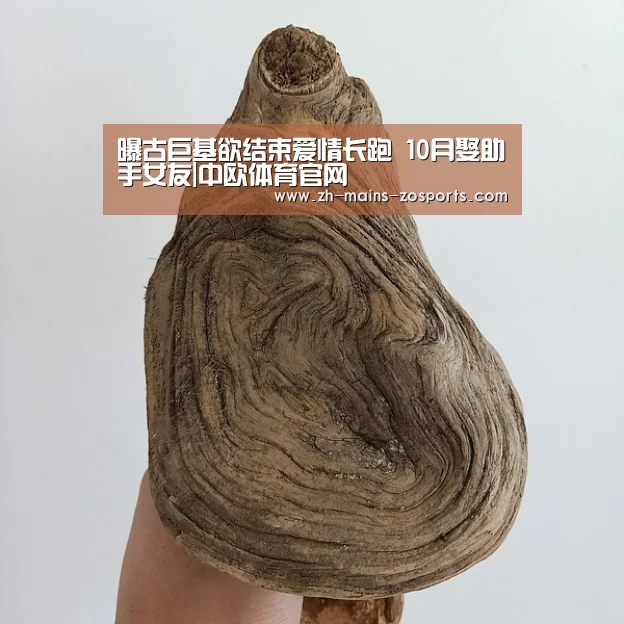 中欧体育平台