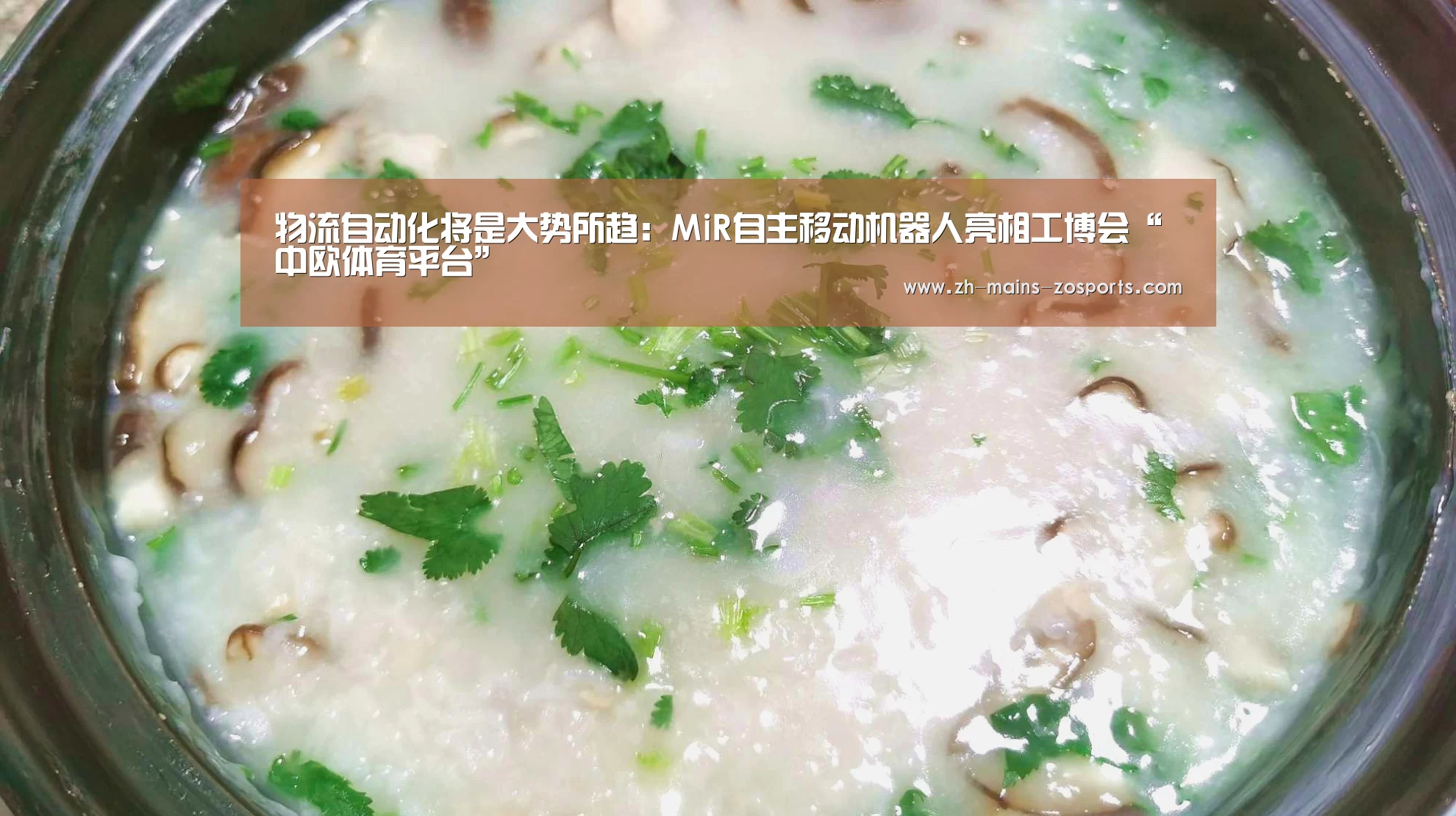 zoty体育