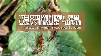 17日女世界杯推荐:韩国女足VS挪威女足“中欧体育”